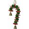 Show in main carousel: Super Bird Creations Vine Ball Candy Cane Bird Toy slide 2 of 8