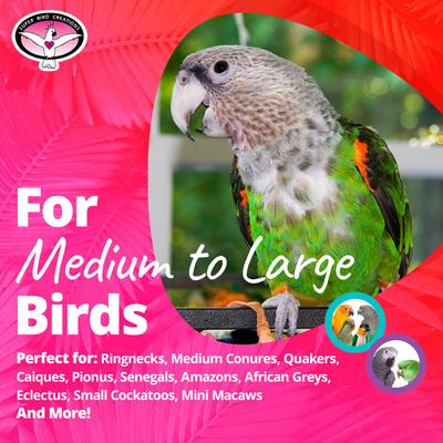 Show full view: Super Bird Creations Waffle Ball Stuffers, Medium/Large, 3 count slide 5 of 8