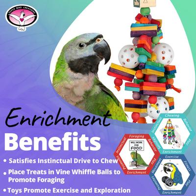 Show full view: Super Bird Creations Wally's Wonder Conure Chewable Toy slide 5 of 7