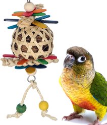 Super Bird Creations Whirligig Conure Preening Toy