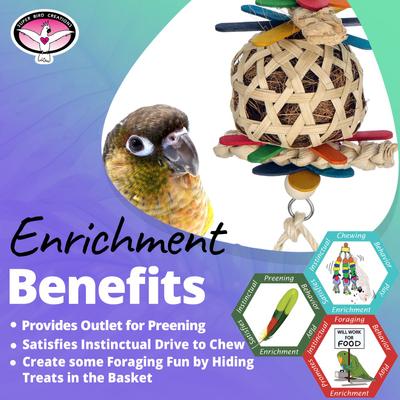 Show full view: Super Bird Creations Whirligig Conure Preening Toy slide 5 of 7