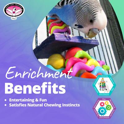 Show full view: Super Bird Creations Wiggles & Wafers Bird Toy, Medium slide 5 of 11