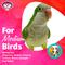 Show in main carousel: Super Bird Creations Wiggles & Wafers Bird Toy, Medium slide 6 of 11