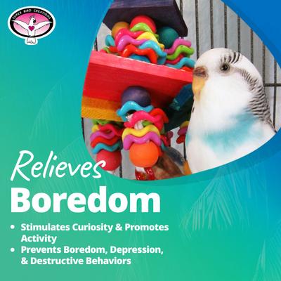 Show full view: Super Bird Creations Wiggles & Wafers Bird Toy, Medium slide 7 of 11