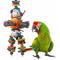 Show in main carousel: Super Bird Creations Willy Nilly Bird Toy, Large/ X-Large slide 1 of 9