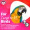Show in main carousel: Super Bird Creations Willy Nilly Bird Toy, Large/ X-Large slide 5 of 9
