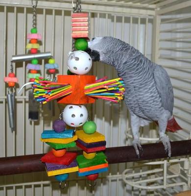 Show full view: Super Bird Creations Willy Nilly Bird Toy, Medium slide 4 of 10