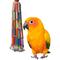 Show in main carousel: Super Bird Creations Wind Chimes Bird Toy, Medium slide 1 of 11