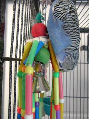 Show full view: Super Bird Creations Wind Chimes Bird Toy, Medium slide 4 of 11