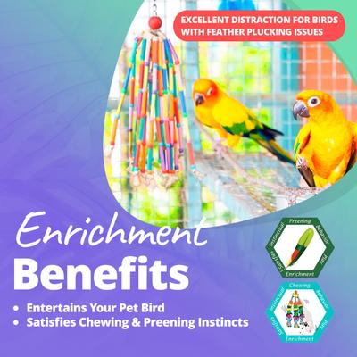 Show full view: Super Bird Creations Wind Chimes Bird Toy, Medium slide 5 of 11