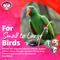 Show in main carousel: Super Bird Creations Wind Chimes Bird Toy, Medium slide 6 of 11