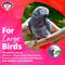 Show in main carousel: Super Bird Creations Woodpile Bird Toy, Medium slide 6 of 10