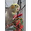 Show in main carousel: Super Bird Creations Xmas Crinkle Little Star Bird Toy slide 3 of 8
