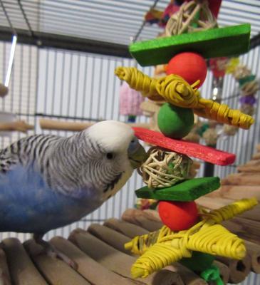 Show full view: Super Bird Creations Xmas Garland Bird Toy, Small slide 3 of 9