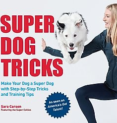 Super Dog Tricks