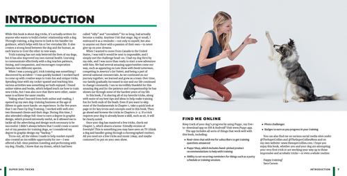 Show full view: Super Dog Tricks slide 3 of 6