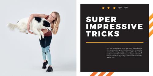 Show full view: Super Dog Tricks slide 4 of 6