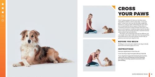 Show full view: Super Dog Tricks slide 5 of 6