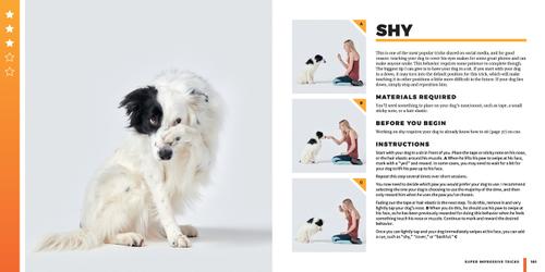 Show full view: Super Dog Tricks slide 6 of 6