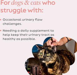 Super Snouts Urinary Support Supplement for Dogs, 2.64-oz jar slide 2 of 9