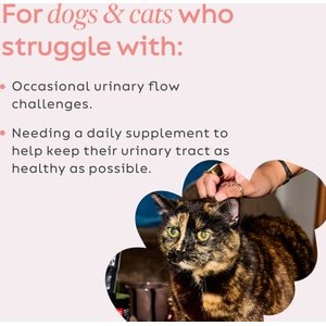 Super Snouts Urinary Support Supplement for Dogs, 2.64-oz jar