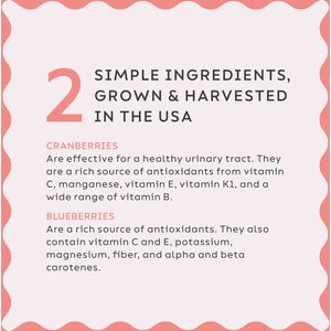 Super Snouts Urinary Support Supplement for Dogs, 2.64-oz jar