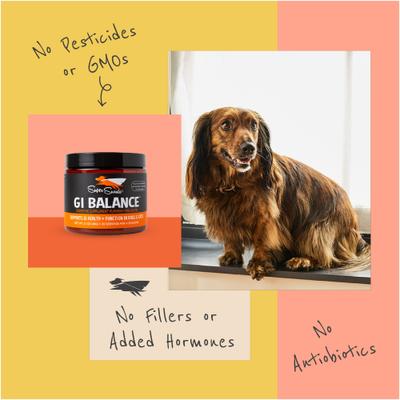 Show full view: Super Snouts G.I. Balance Digestive Support Dog & Cat Supplement, 3.1-oz jar slide 10 of 12