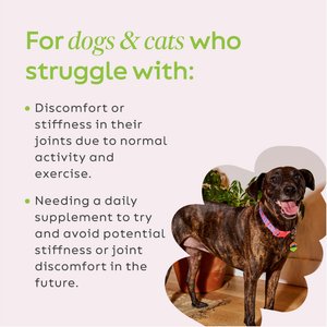 Super Snouts Joint Power Powder Joint Supplement for Dogs & Cats, 5.29-oz jar