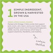 Show in main carousel: Super Snouts Joint Power Powder Joint Supplement for Dogs & Cats, 5.29-oz jar slide 6 of 11