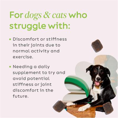 Show full view: Super Snouts Joint Power Soft Chew Supplement for Dogs & Cats, 60 count slide 6 of 12