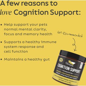 Super Snouts Cognition Support Supplement for Dogs, 2.64-oz jar