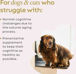 Super Snouts Cognition Support Supplement for Dogs, 2.64-oz jar slide 2 of 9