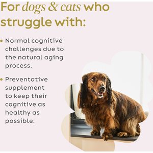 Super Snouts Cognition Support Supplement for Dogs, 2.64-oz jar