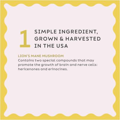 Show full view: Super Snouts Lion's Roar Powder Brain & Nervous System Supplement for Dogs & Cats, 2.64-oz jar slide 7 of 13