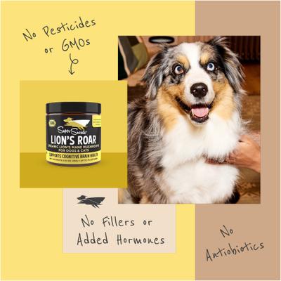 Show full view: Super Snouts Lion's Roar Powder Brain & Nervous System Supplement for Dogs & Cats, 2.64-oz jar slide 10 of 13