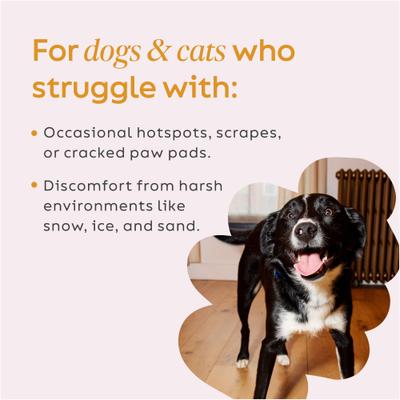 Show full view: Super Snouts Rad Pad Paw Balm for Dogs & Cats, 2-oz jar slide 5 of 10