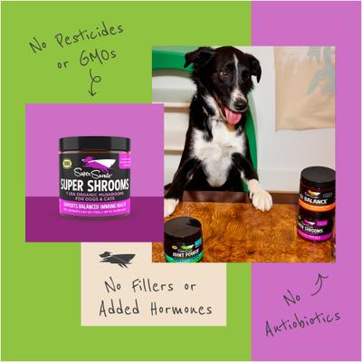 Show full view: Super Snouts Super Shrooms Organic Super 7 Mushroom Blend Dog Immune Support Supplement, 2.64-oz jar slide 10 of 13