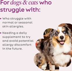 Super Snouts Seasonal Allergy Support Immune Supplement for Dogs, 5.29-oz jar slide 2 of 9