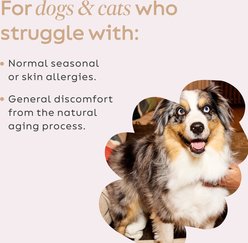 Super Snouts Daily Defense Immune Supplement for Dogs, 5.29-oz jar slide 2 of 9