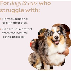 Super Snouts Daily Defense Immune Supplement for Dogs, 5.29-oz jar