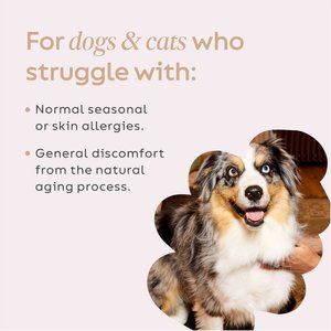 Super Snouts Turkey Tail Powder Immune Supplement for Dogs & Cats, 2.64-oz jar