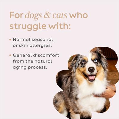 Show full view: Super Snouts Turkey Tail Powder Immune Supplement for Dogs & Cats, 2.64-oz jar slide 6 of 12