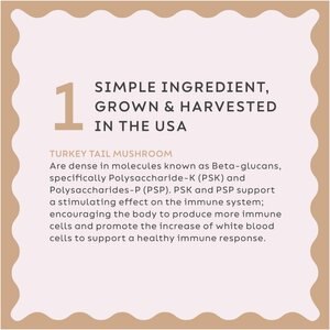 Super Snouts Turkey Tail Powder Immune Supplement for Dogs & Cats, 2.64-oz jar