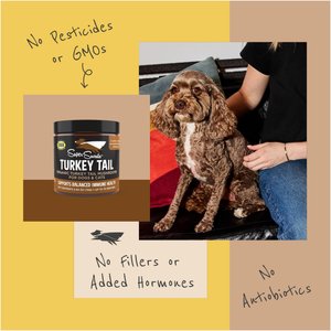 Super Snouts Turkey Tail Powder Immune Supplement for Dogs & Cats, 5.29-oz jar