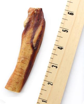 Show full view: SuperCan Bully Sticks 6-in Mega Monster Bully Sticks Dog Treats, 5 count slide 3 of 5