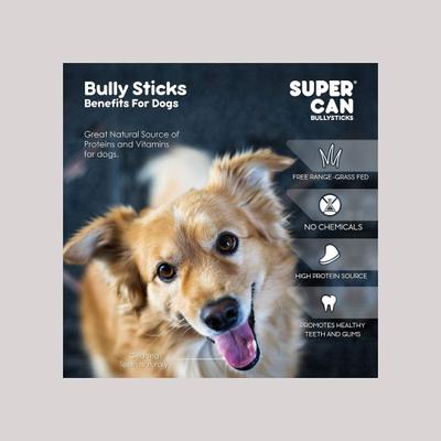 Show full view: SuperCan Bully Sticks 6-in Standard Bully Sticks Dog Treats, 10 count slide 5 of 6