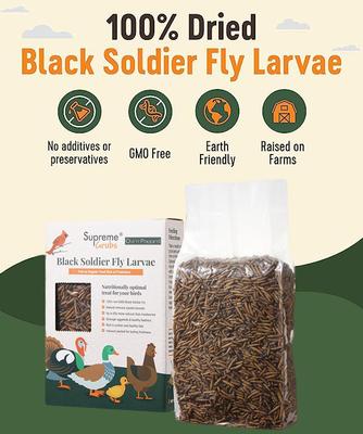 Show full view: Supreme Grubs Black Soldier Fly Larvae Poultry Treats, 1-lb bag slide 2 of 7