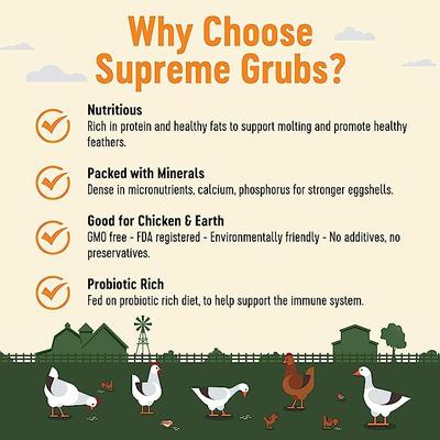 Show full view: Supreme Grubs Black Soldier Fly Larvae Poultry Treats, 5-lb bag slide 3 of 7