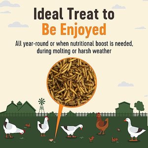 Supreme Grubs Black Soldier Fly Larvae Poultry Treats, 5-lb bag