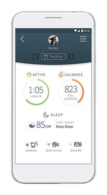 Show full view: Sure Petcare Animo Dog Activity & Behavior Monitor slide 3 of 6